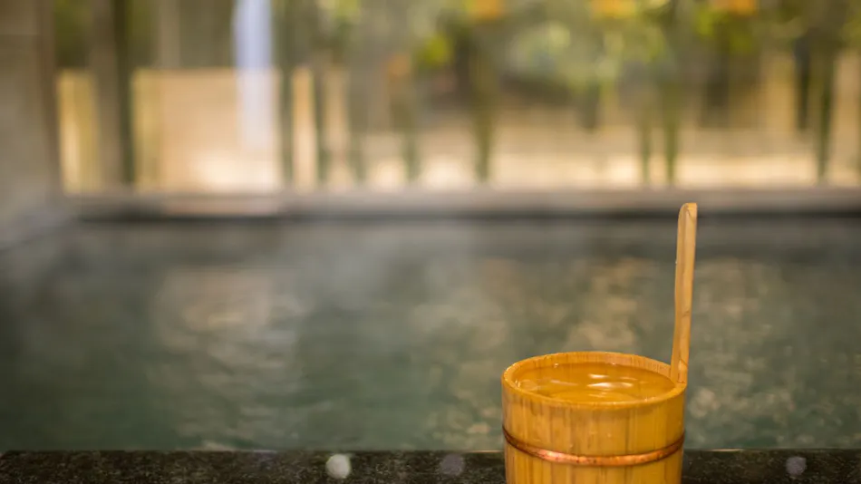 Natural Hot Spring Izuru no Yu Super Hotel Oyama