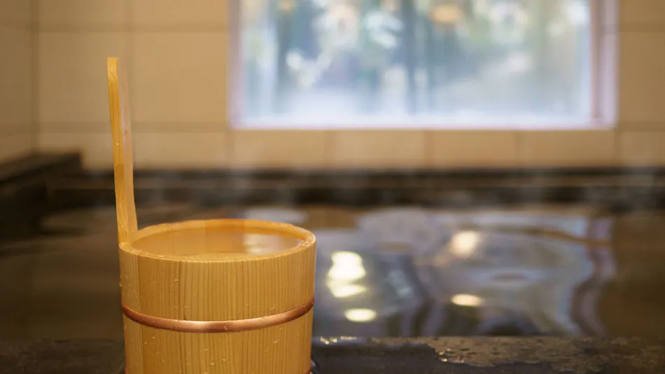 Natural Hot Spring Jinya no Yu Super Hotel Hida Takayama