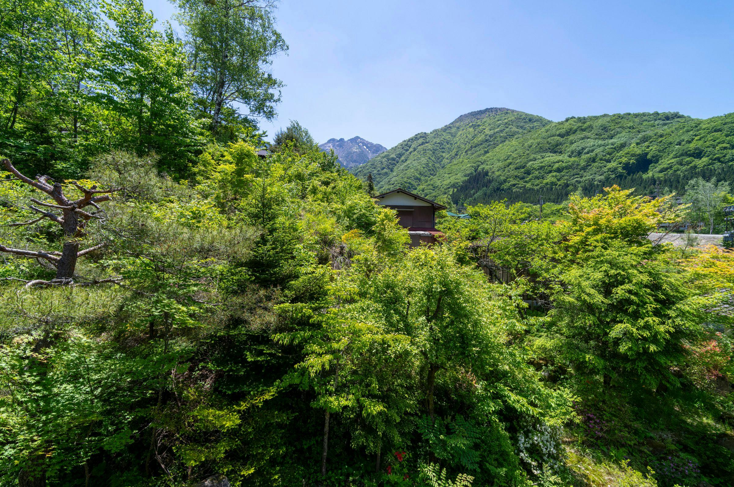 Yakinoyu