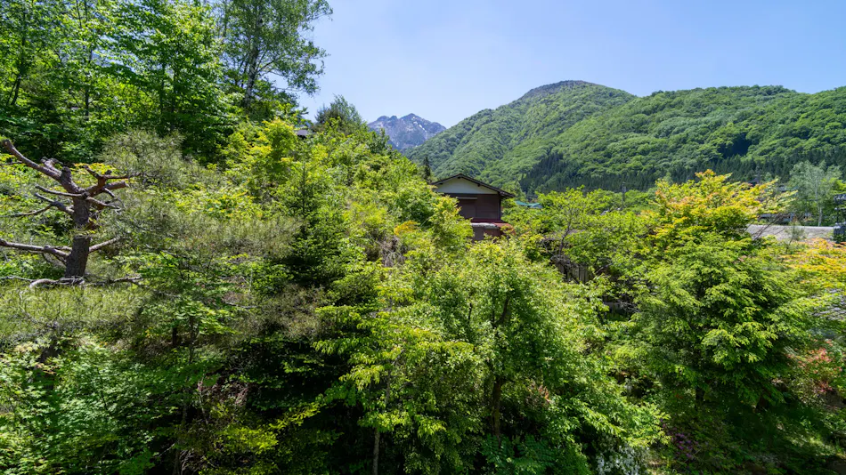 Yakinoyu