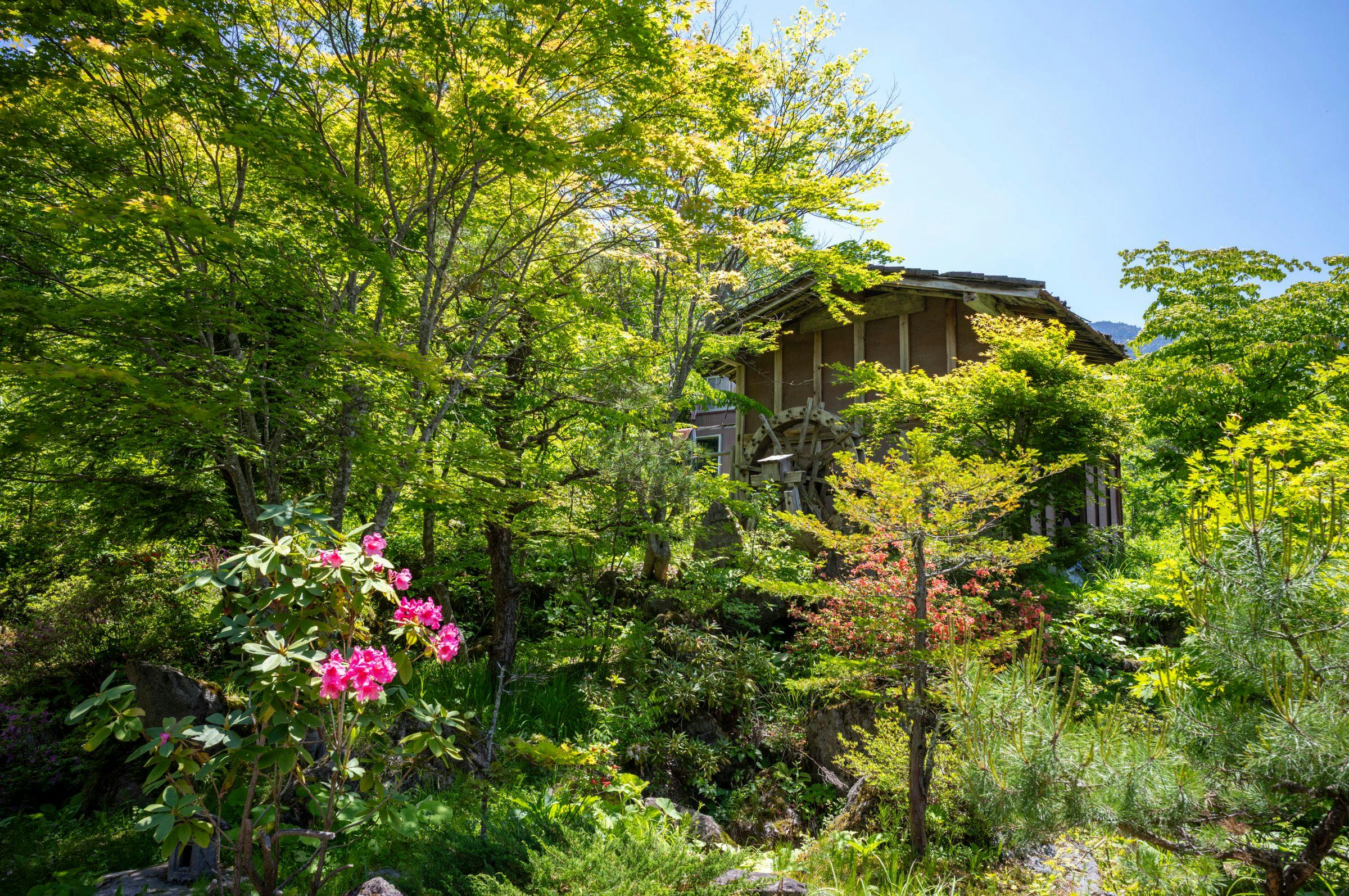 Yakinoyu