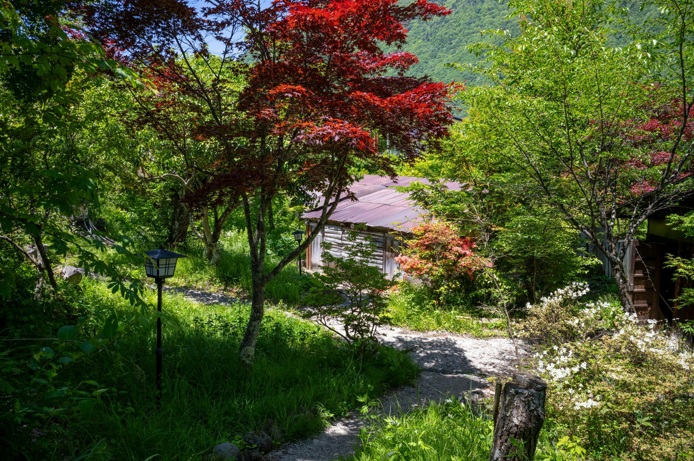 Yakinoyu