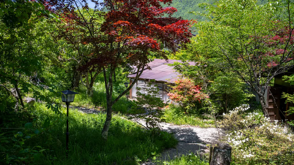 Yakinoyu