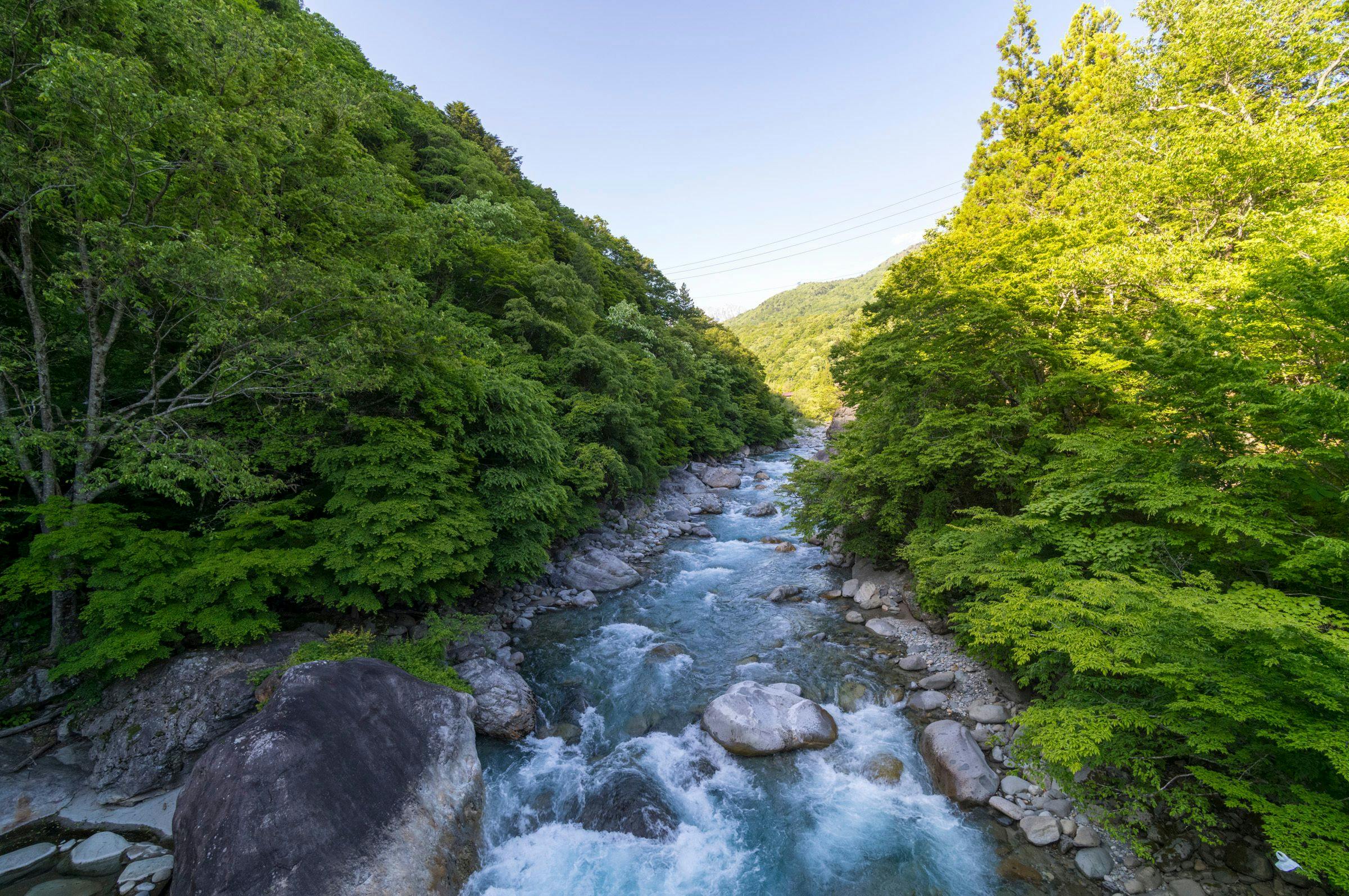Yakinoyu