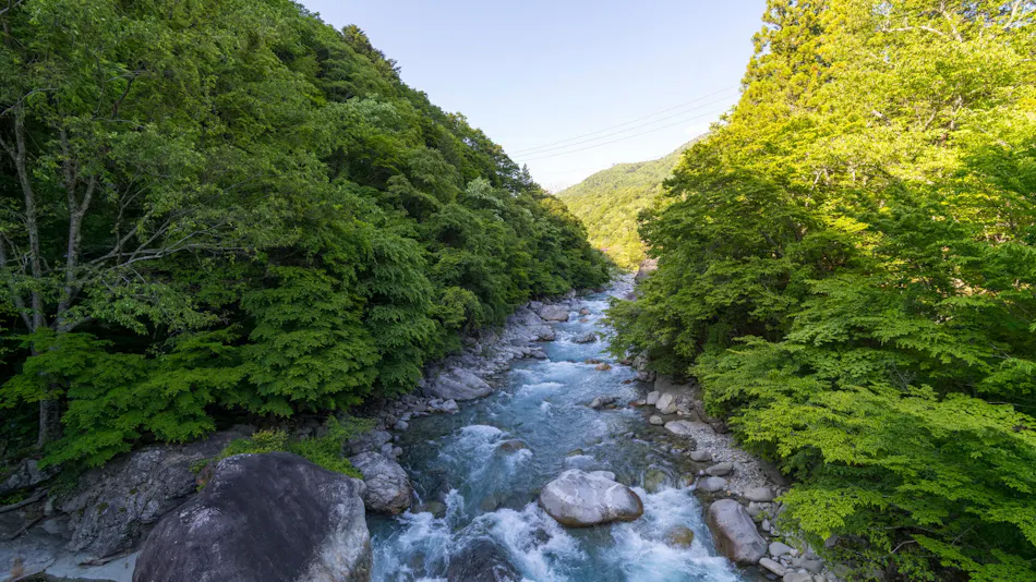 Yakinoyu