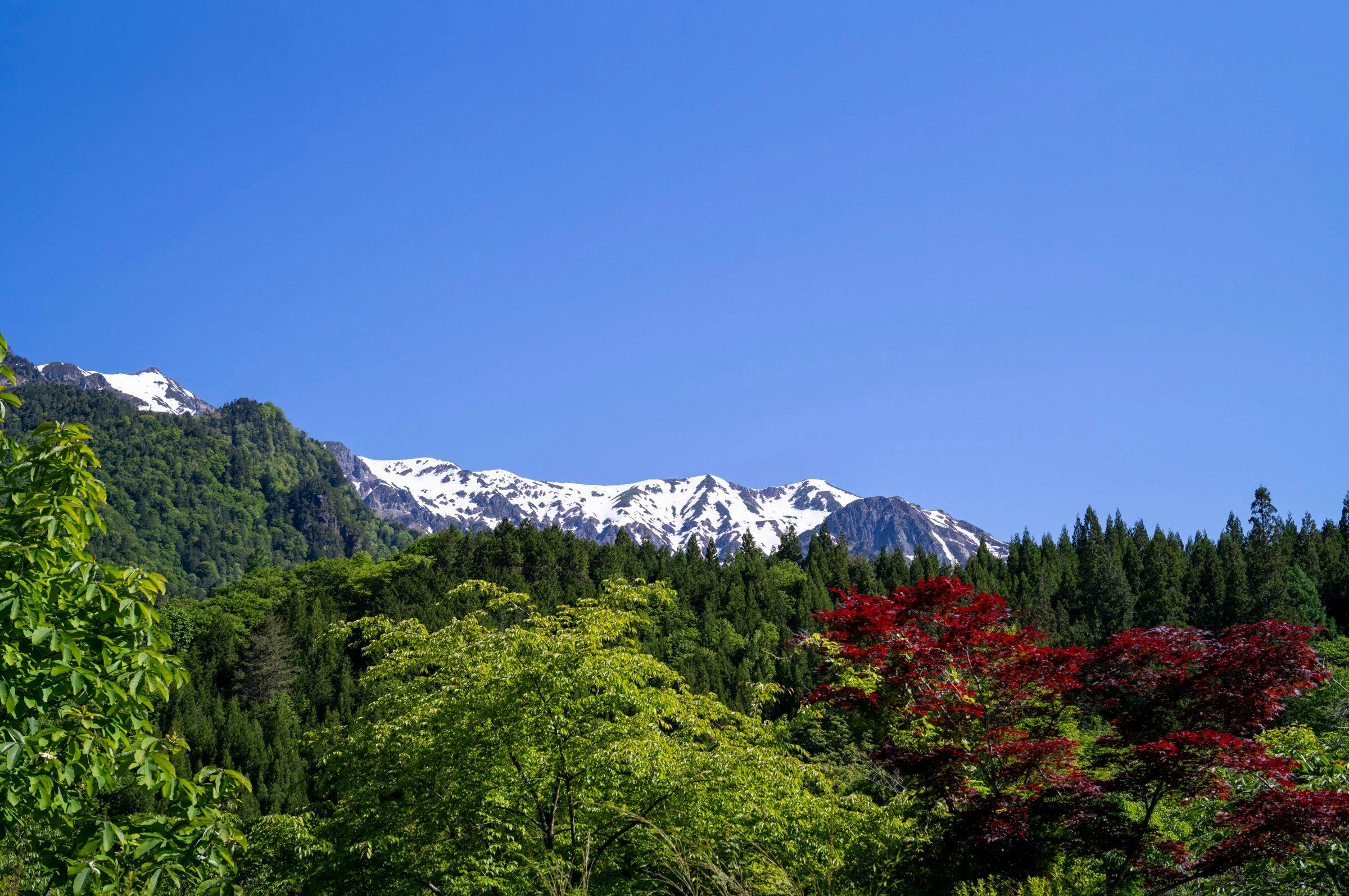 Yakinoyu
