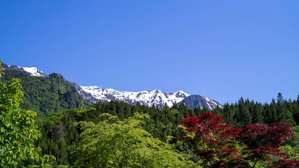 Yakinoyu
