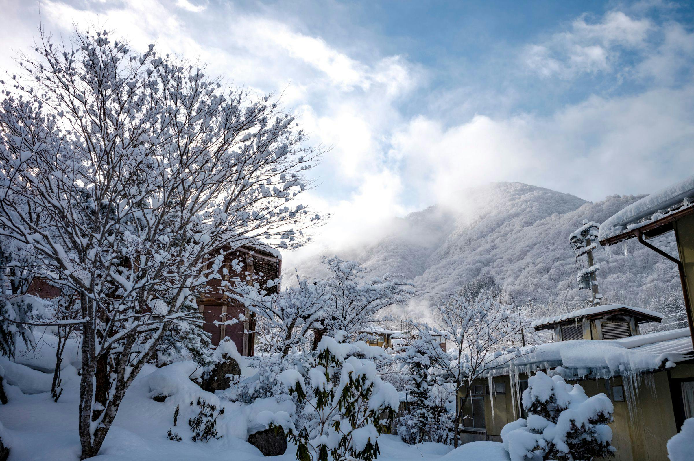 ทิวเขาในฤดูหนาว