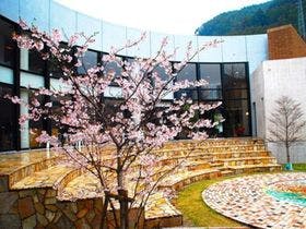 富士ビラ　山華の正