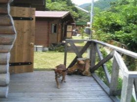 ロッジ・クール