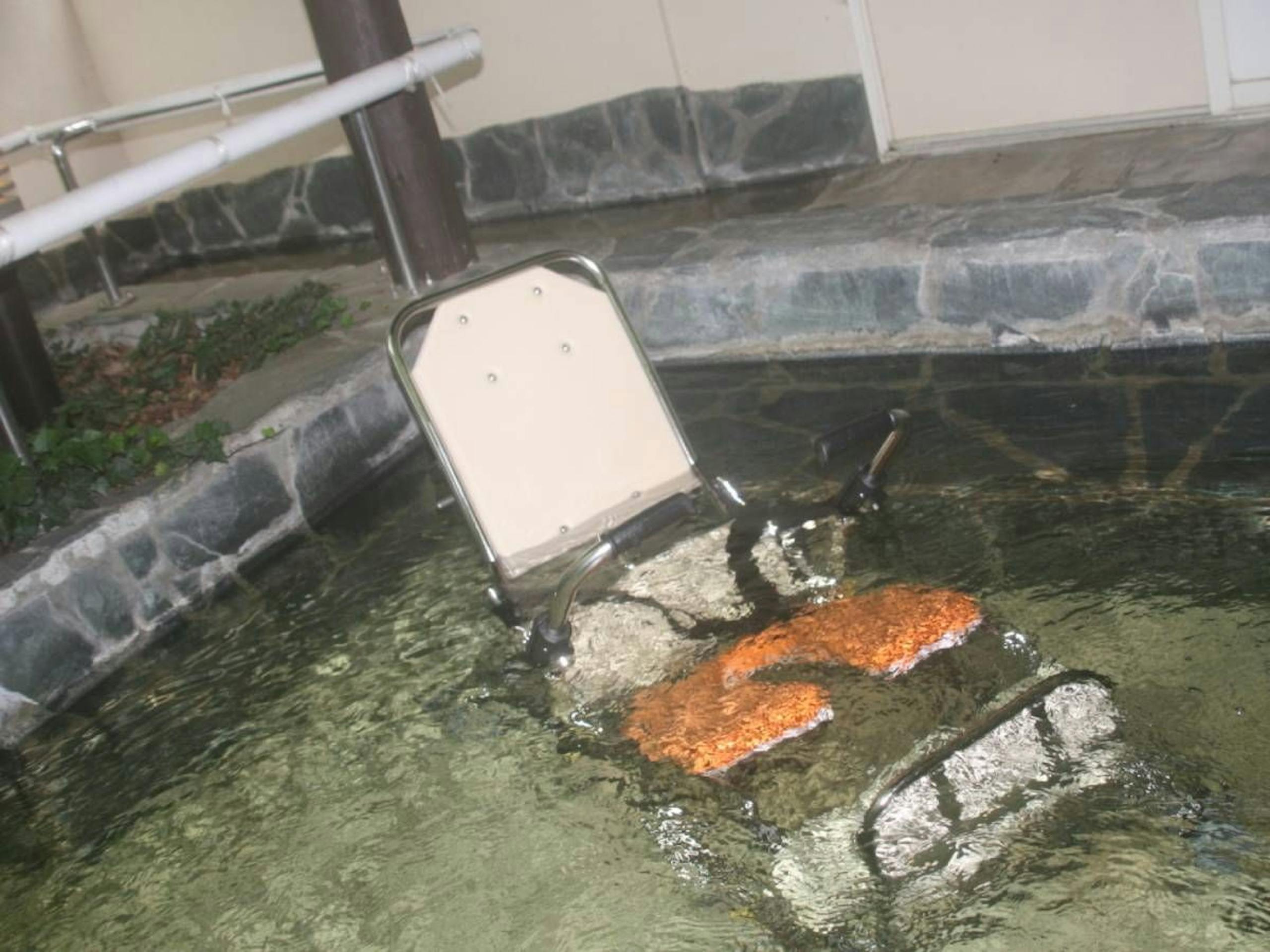 那須高原【ガストホフ エール】無段階リクライニングシートのシャワーキャリー