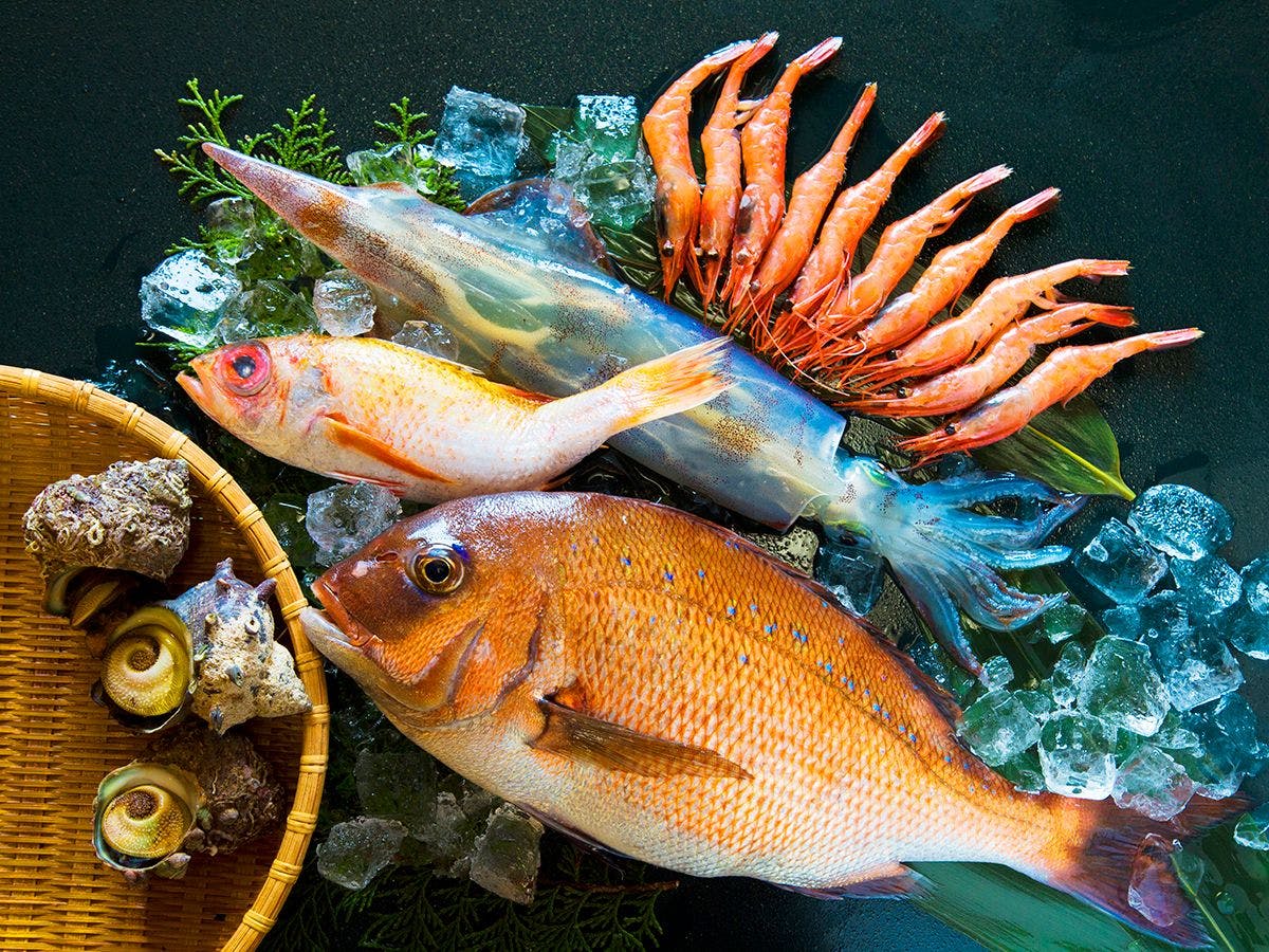 【에치젠 10대 미식】