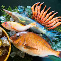 【10 Makanan Terbaik Echizen】