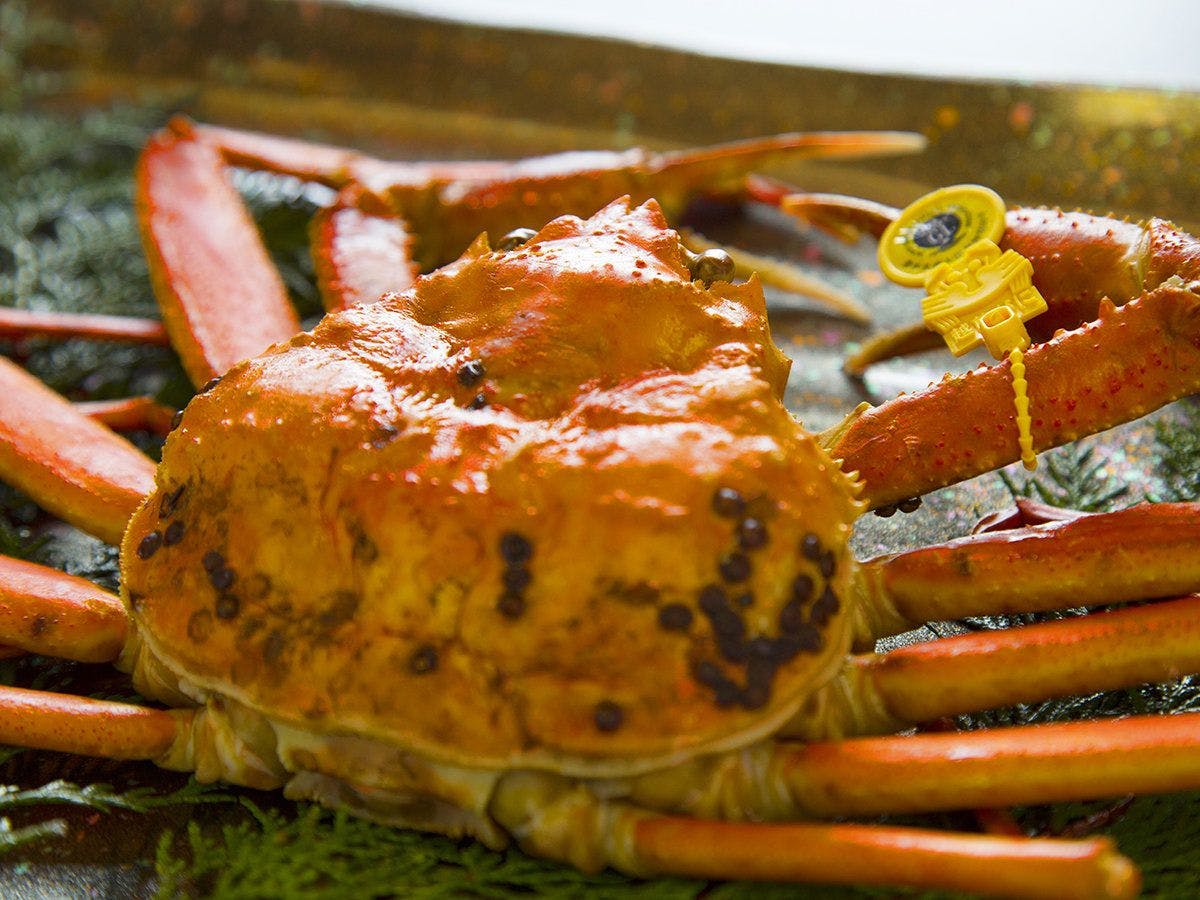 Resort Ryokan Yadokari