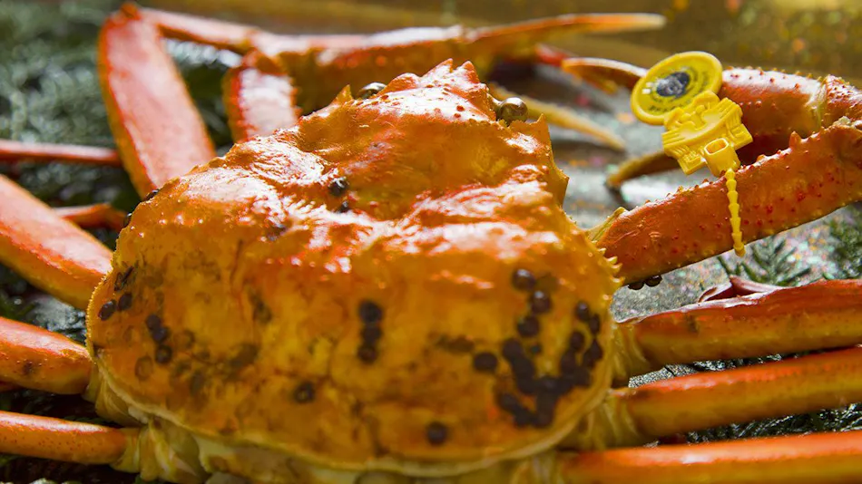 Resort Ryokan Yadokari