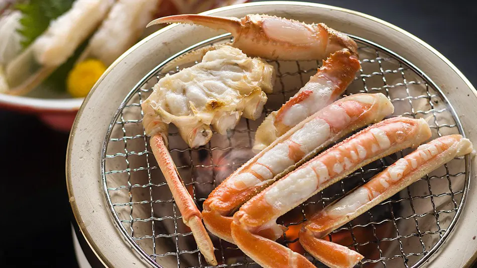 Resort Ryokan Yadokari