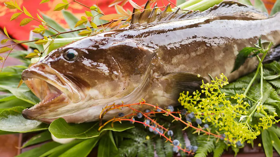 Kishu Minabe Onsen Ryori Yado Asahiro
