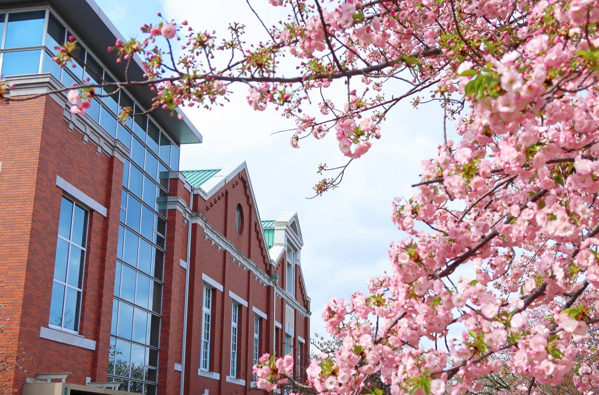 จุดชมซากุระ: โรงกษาปณ์