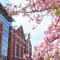 จุดชมซากุระ: โรงกษาปณ์