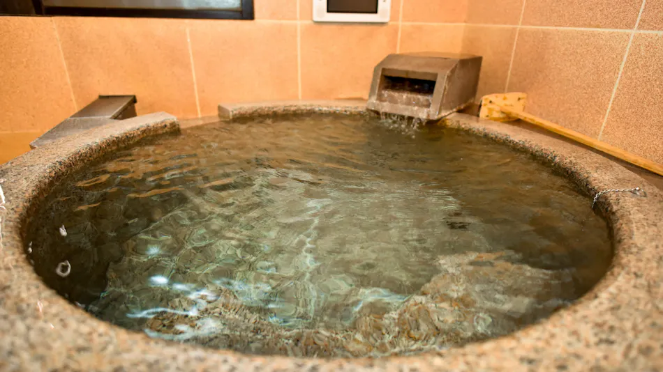 Kamegawa Onsen Yuyu
