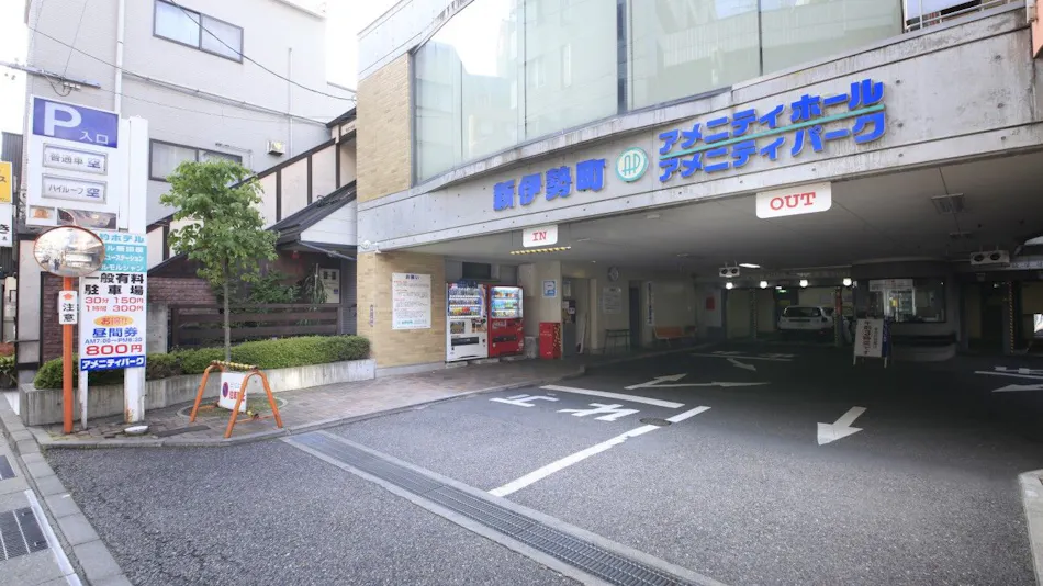 Hotel Morshan