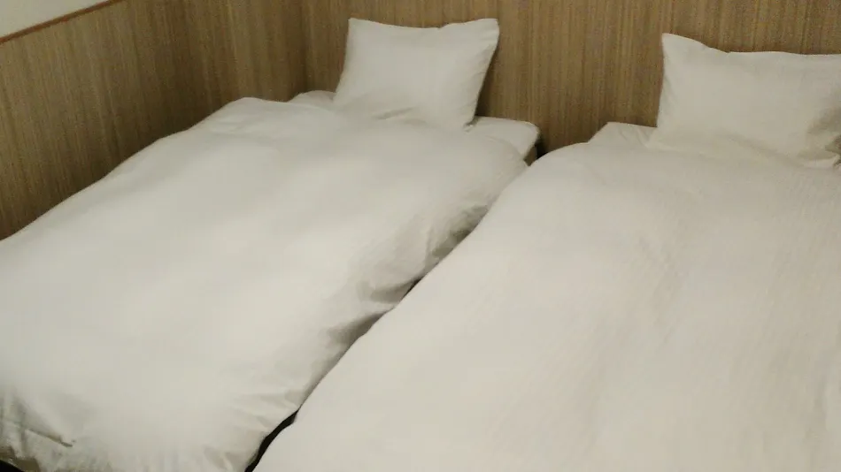 Business Hotel Station Inn Obu