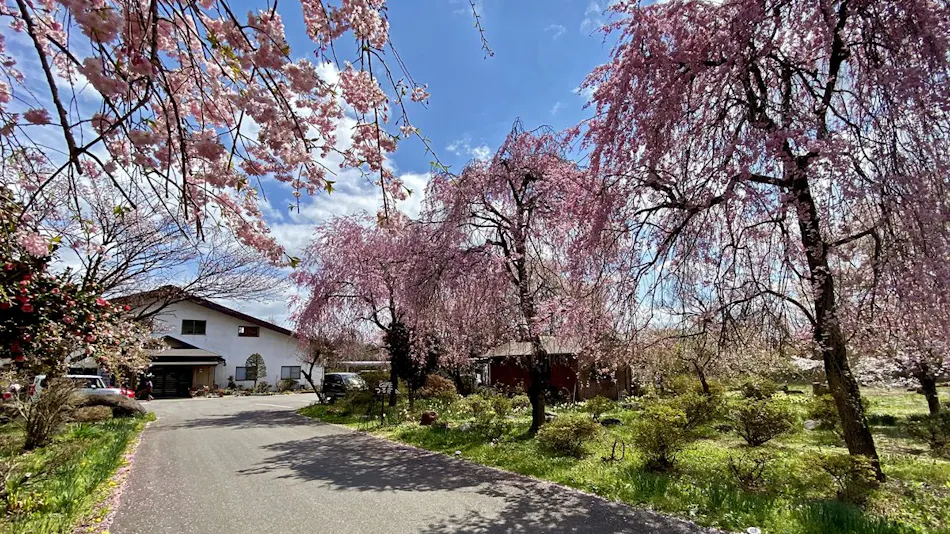 Minshuku Shinkouen
