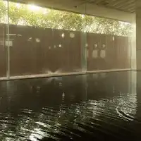 น้ำดำที่น่าภาคภูมิใจพร้อมผลลัพธ์ที่ยอดเยี่ยมในการบำรุงผิว