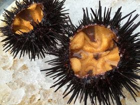 サンマリン気仙沼ホテル観洋