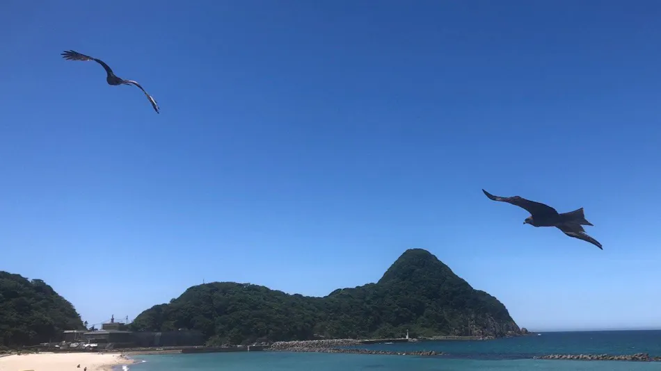 Oku-Kinosaki Seaside Hotel