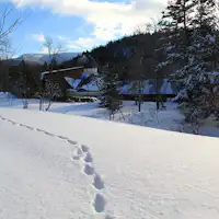 รอยเท้าของคิตะคิทสึเนะ