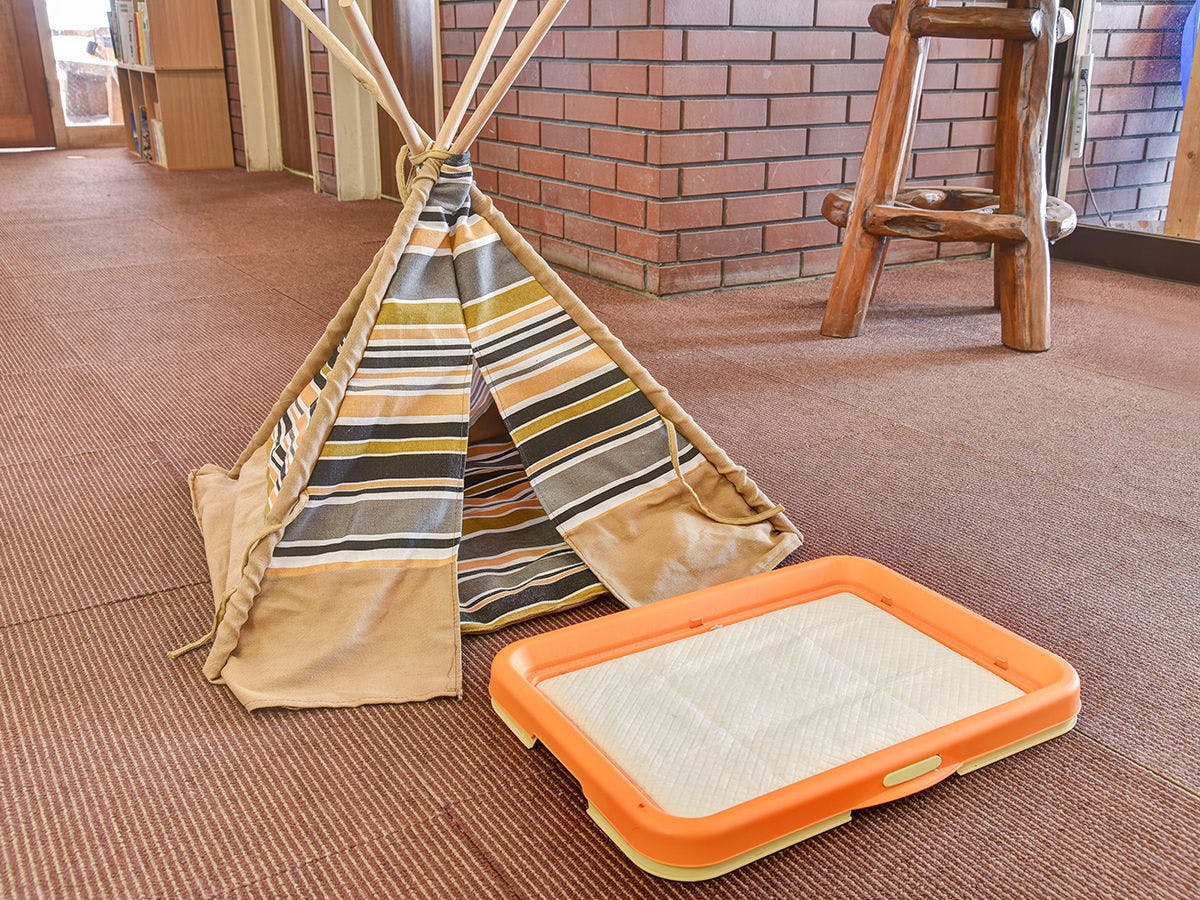 สิ่งอำนวยความสะดวกสำหรับสัตว์เลี้ยงโดยเฉพาะ