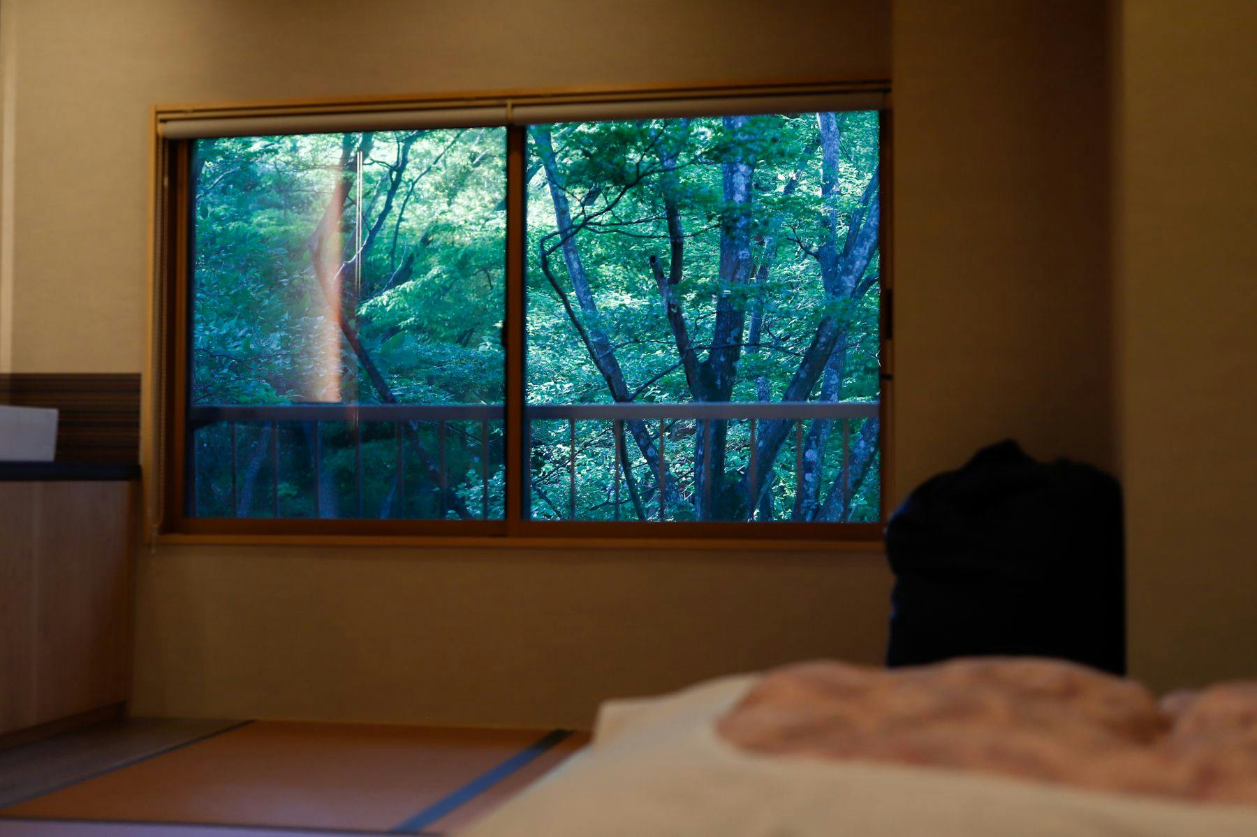 Ryokan Kiritani Hakoneso
