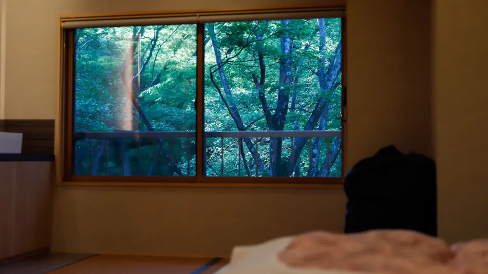Ryokan Kiritani Hakoneso