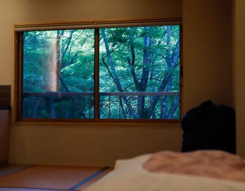 椿の間｜＜本館＞和モダンコンパクト