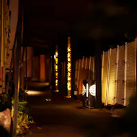 ทางเดินเชื่อมไฟประดับ