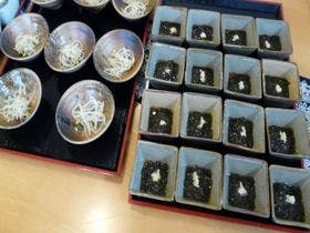 ホテルピースランド 石垣島