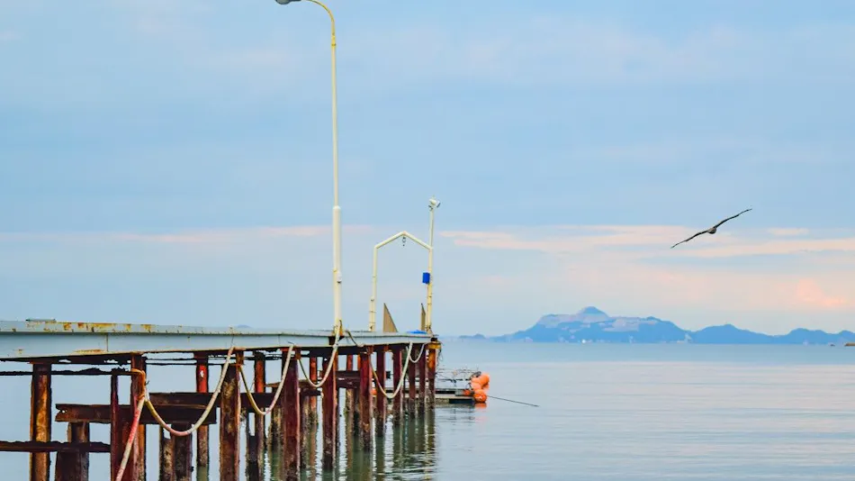 Sea Tiger Island Inn