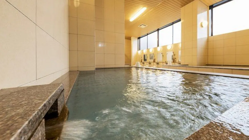Shin-Maebashi Terminal Hotel