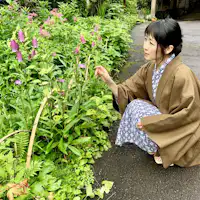 庭院前