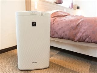 Semua kamar dilengkapi dengan pembersih udara dengan fungsi pelembap.