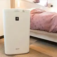 Semua kamar dilengkapi dengan pembersih udara dengan fungsi pelembap.