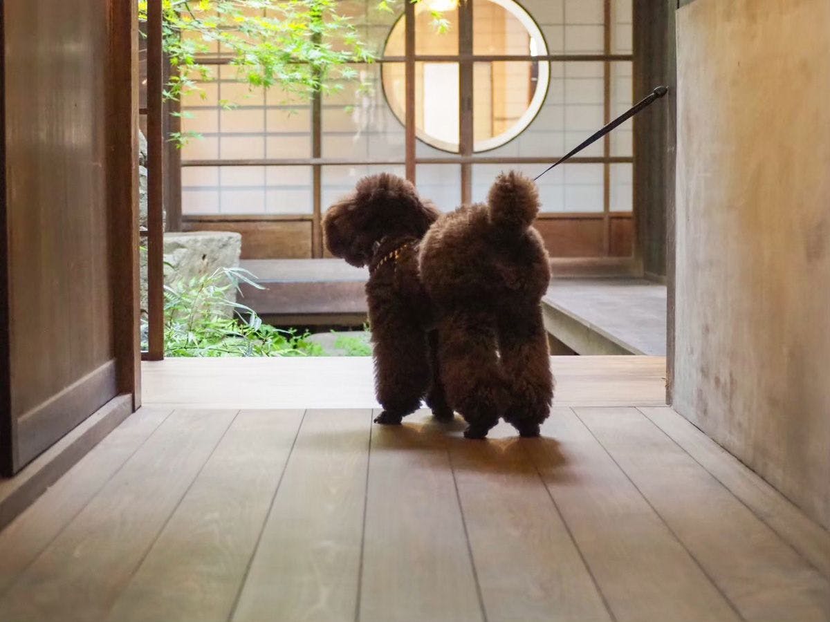 Traditional Japanese House Inn Saika-an