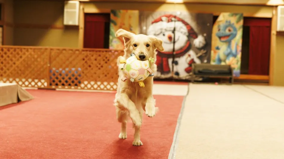 Authentic Inn for Stays with Your Beloved Dog - Awara Onsen Tsukika