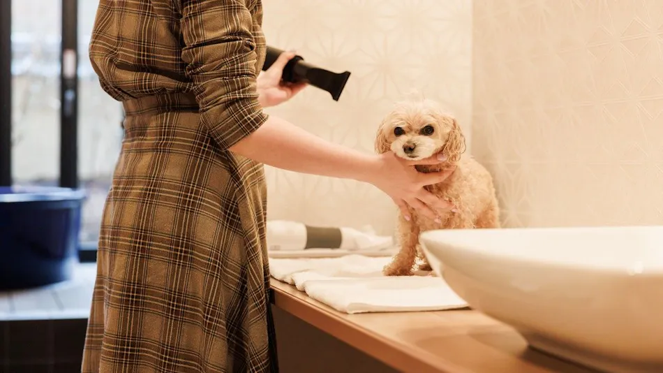 Authentic Inn for Stays with Your Beloved Dog - Awara Onsen Tsukika