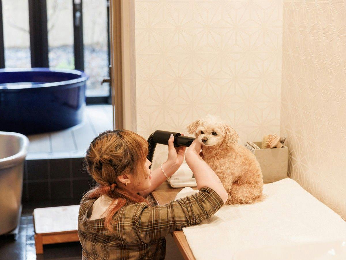 Authentic Inn for Stays with Your Beloved Dog - Awara Onsen Tsukika