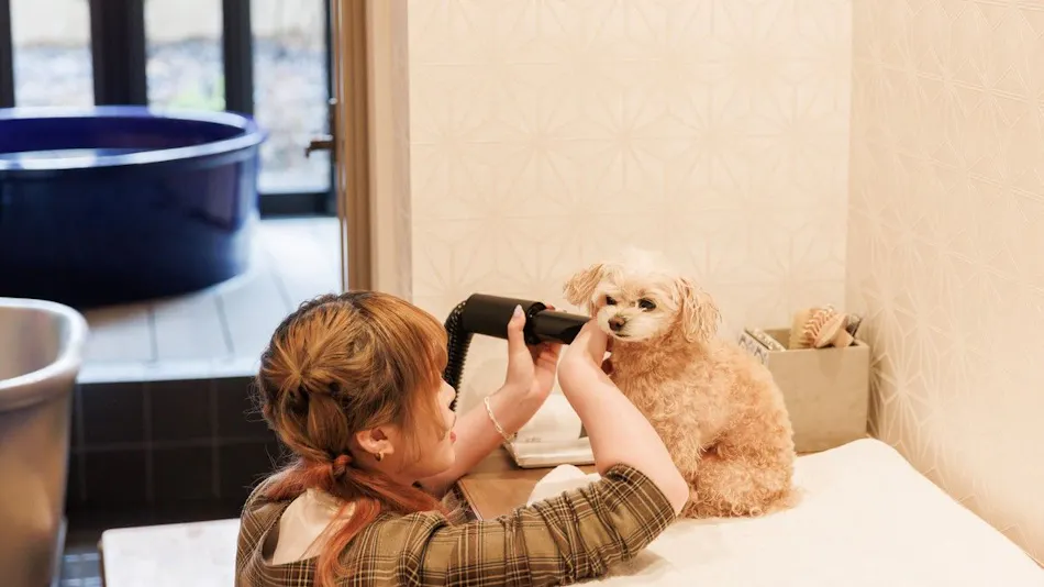 Authentic Inn for Stays with Your Beloved Dog - Awara Onsen Tsukika