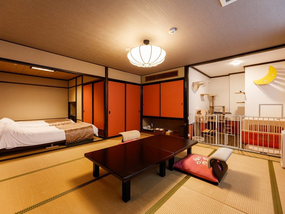 고양이 동반 가능 객실