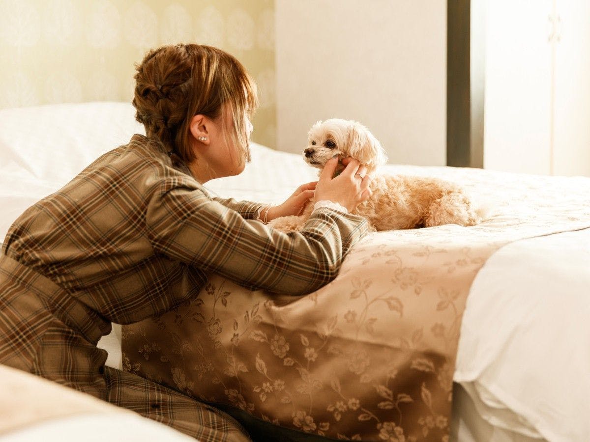 Authentic Inn for Stays with Your Beloved Dog - Awara Onsen Tsukika