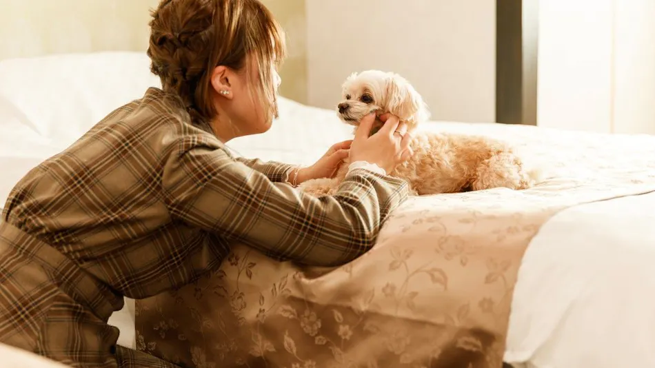 Authentic Inn for Stays with Your Beloved Dog - Awara Onsen Tsukika